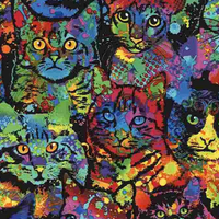 Paint Splatter Cats Crazy For Cats ~ C4140