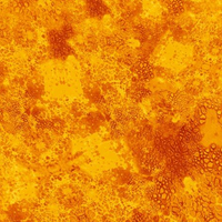 De's Texture Basics ~ 0225S LIGHT ORANGE