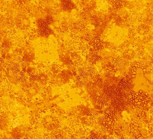 De's Texture Basics ~ 0225S LIGHT ORANGE