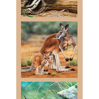 Wildlife Art Panel 2 ~ Kangaroo, Echidna & Wombat